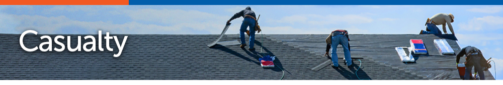 page banner_P-Casualty.jpg